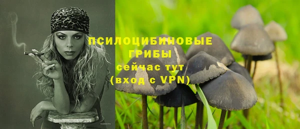 apvp Богородицк
