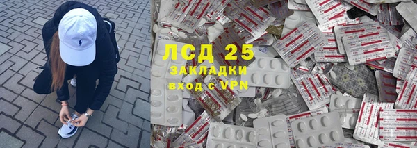 ГАЛЛЮЦИНОГЕННЫЕ ГРИБЫ Белоозёрский