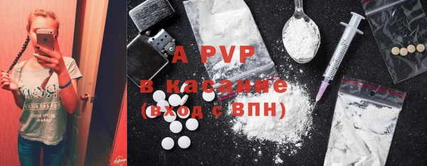 ГАЛЛЮЦИНОГЕННЫЕ ГРИБЫ Белоозёрский