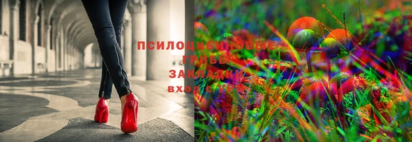 2c-b Богородск